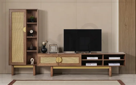 Point Tv Ünitesi